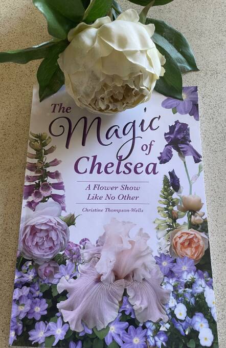 The cover of The Magic of Chelsea. Picture by Therese Murray