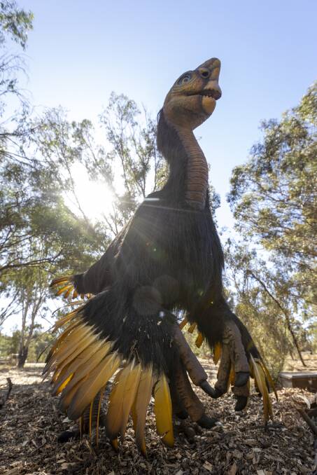 One of the creatures at Kyabram Fauna Park. Picture supplied