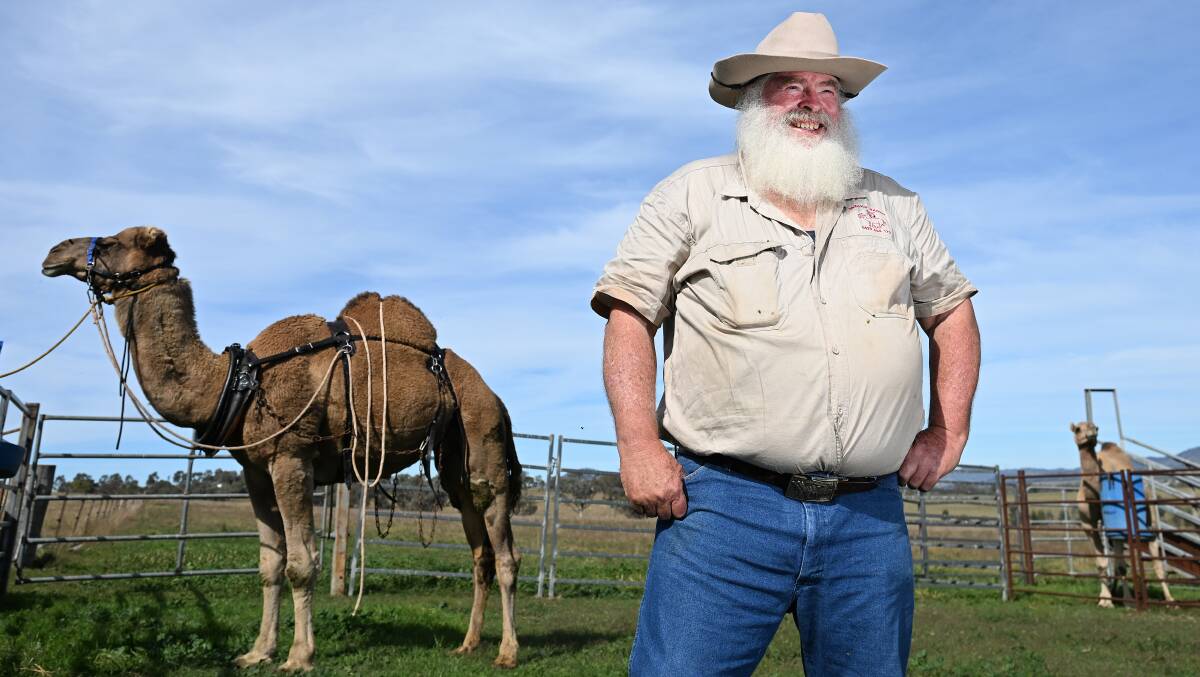 Camel trainer Peter Towle with Jiddan at his Loomberah property. Picture by Gareth Gardner
