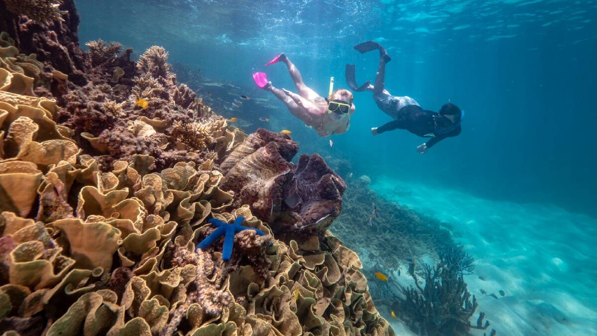 Go diving at Misson Beach. Picture by Tourism and Events Queensland