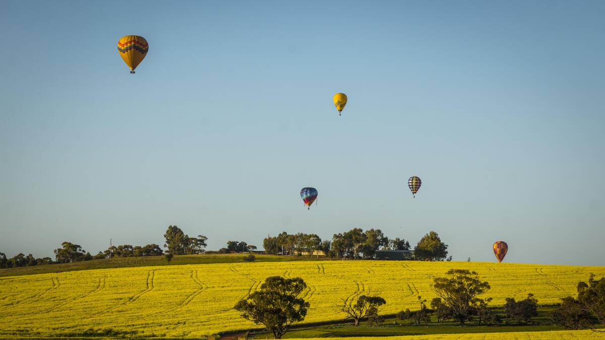 Balloons snapped flying over canola fields in Northam, WA as part of the 2017 National Ballooning Championships. Picture by Tony McDonough