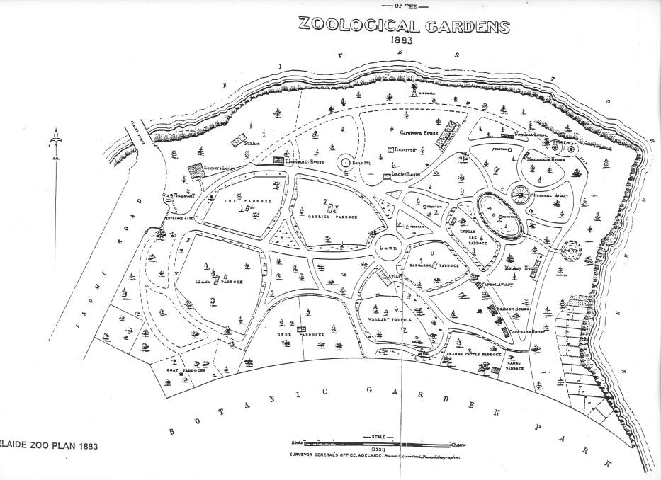 A plan of the Adelaide Zoo when it opened in 1883. Picture by Zoos SA
