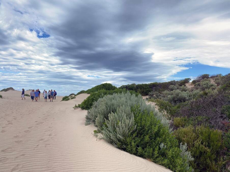The Coorong's vast sand hills. Picture by Marie Barbieri