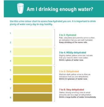 NSW Health's urine colour chart. Picture NSW Health