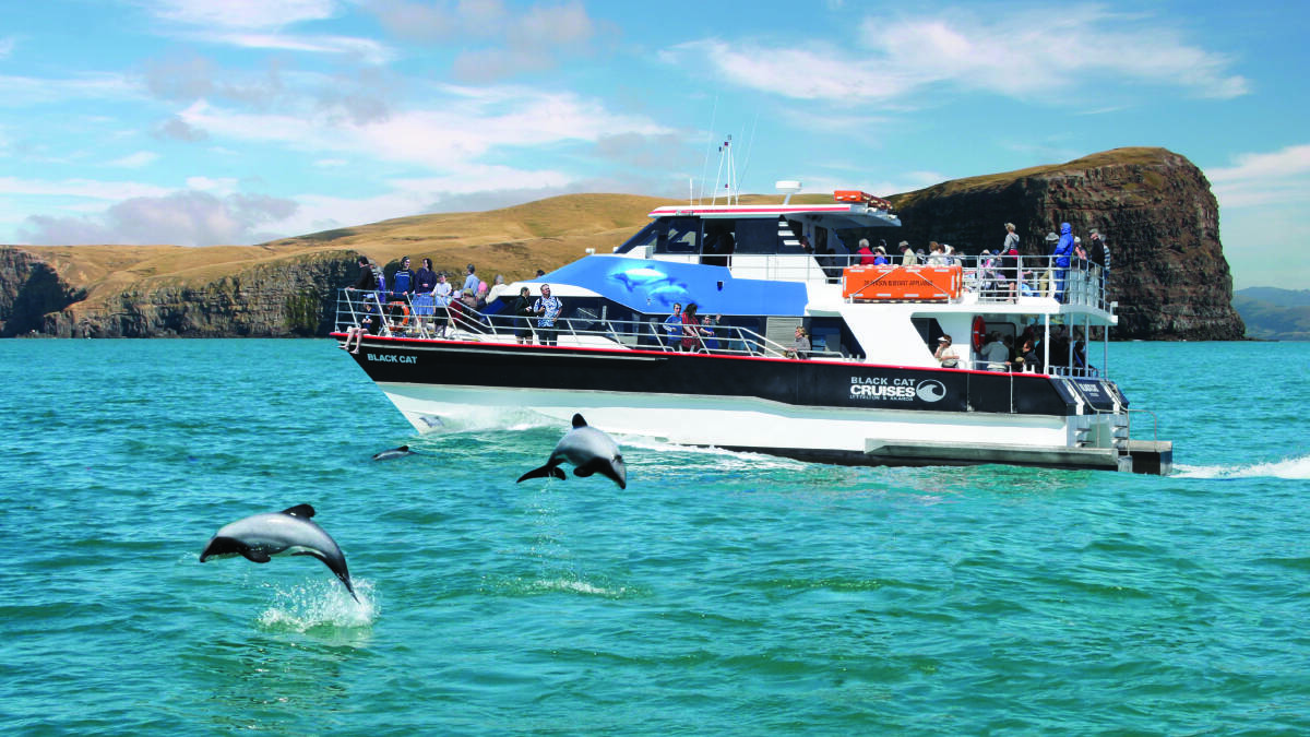 Enjoy exploring New Zealand on the 11 Day Top of the South Island Tour by Grand Pacific Tours. Picture supplied