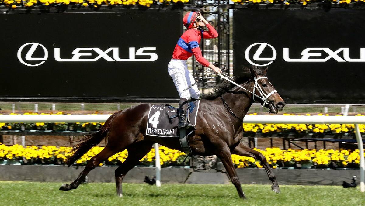 Verry Elleegant won the Melbourne Cup in 2021. Picture via X/@cwallerracing