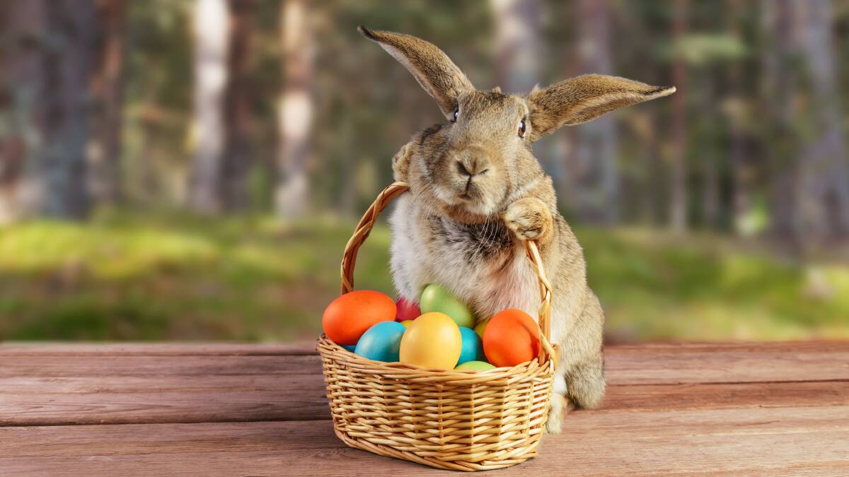 Don't leave dashing out to buy Easter eggs until the last minute, with most stores to close on Good Friday. Picture by Shutterstock. 
