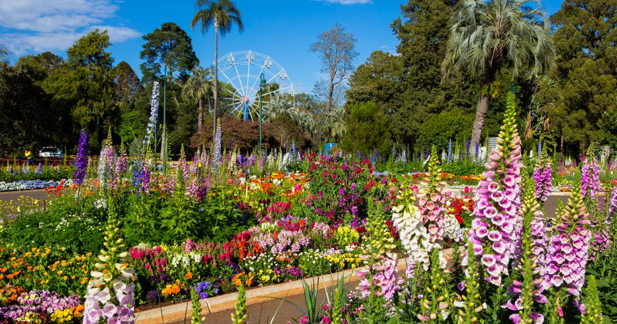 Yes, it’s on! Toowoomba Carnival of Flowers is good to grow