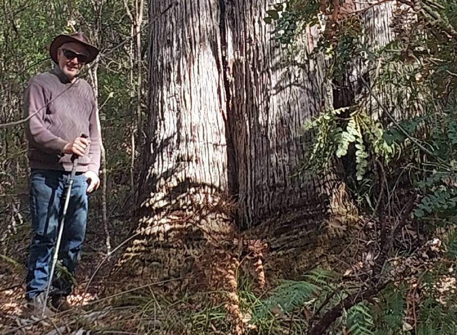 Eric on one of the walk trails at Jarrah Park, where he volunteers. Picture Supplied.