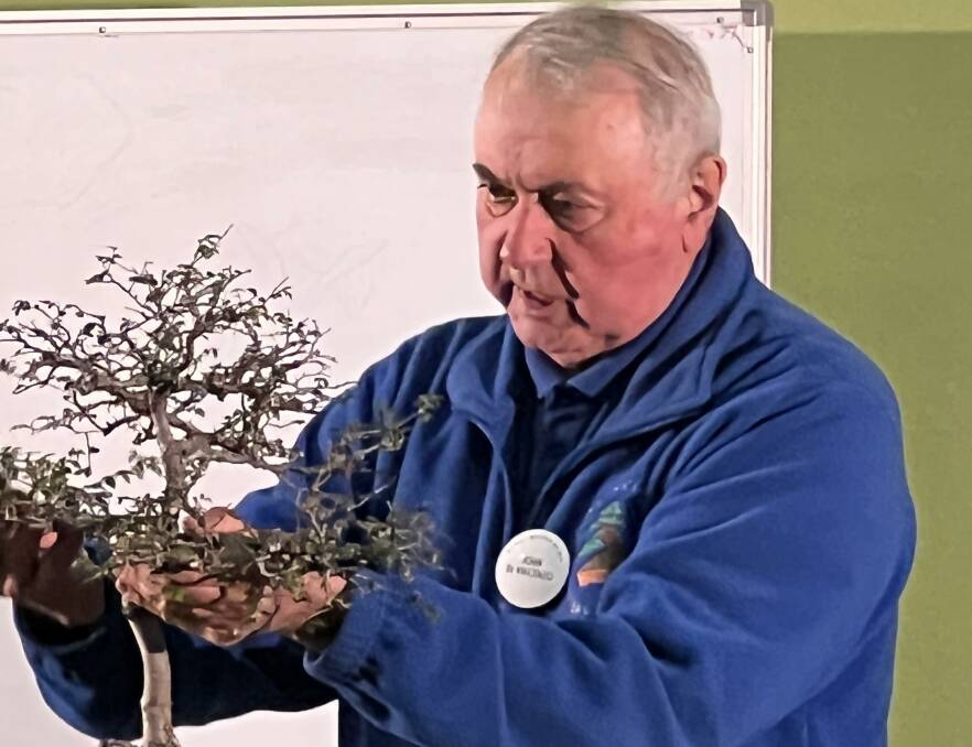 Perth's John di Vincenzo has won the Royal Horticultural Society of Victoria's John Pascoe Fawkner Medal. Picture supplied