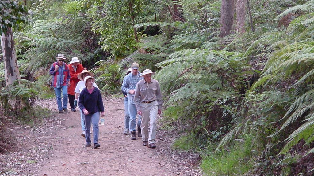 Hornsby Council is offering a series of free guided bushwalks this month. Picture supplied