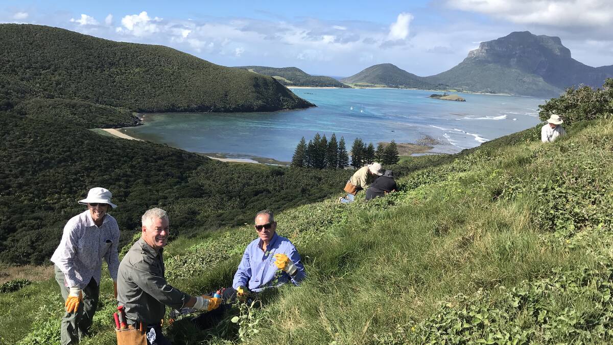 Enthusiastic volunteers get in among the weeds while visting glorious Lord Howe Island. Picture supplied