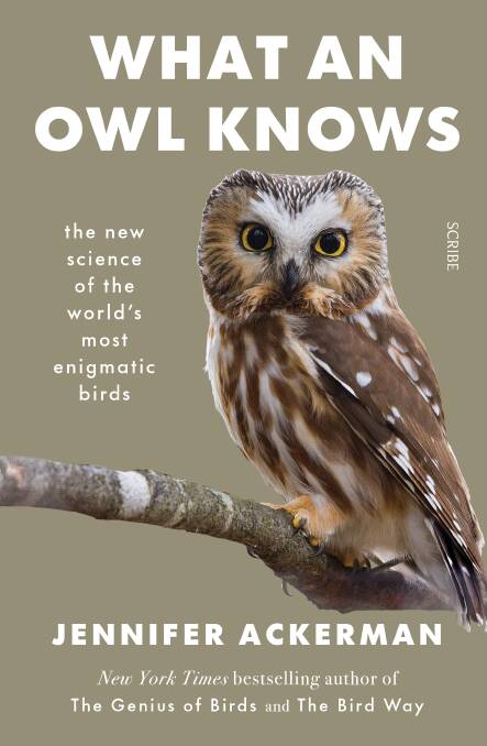 New book reveals the mysterious world of the owl