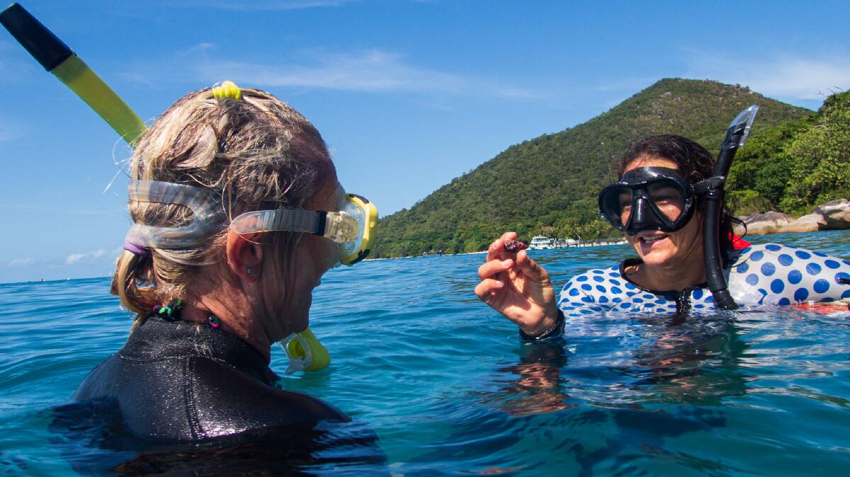 Marine biologist Laura Pederson shows a guest the Drupella snail which is responsible for eating the reef's coral. Picture supplied