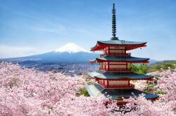 Mount Fuji during the cherry blossom season in Japan. Picture supplied.