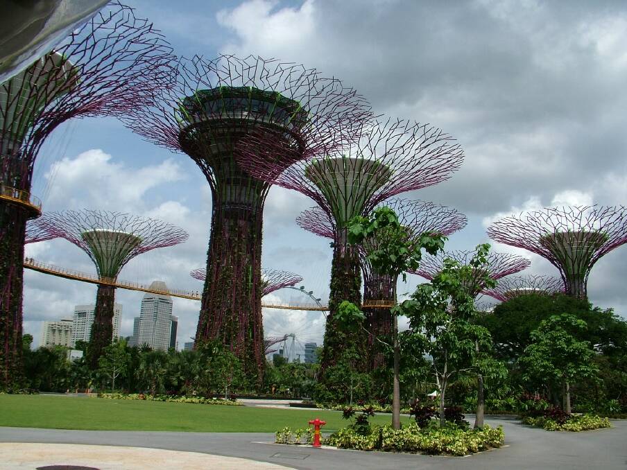 Gardens by the Bay... blooming lovely.