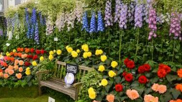 The Chelsea Flower Show is a sight to behold. File picture