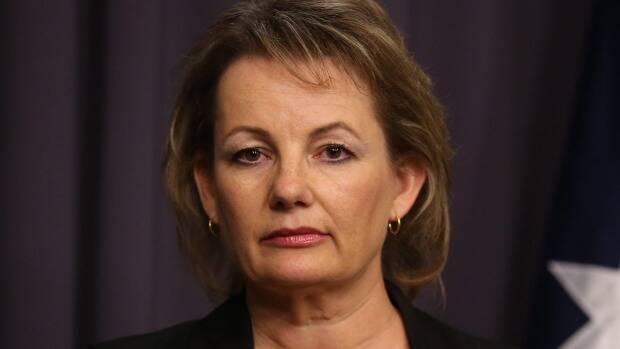 Sussan Ley says new measures will protect the integrity of aged care. Photo Andrew Meares