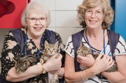 Eileen and Pam find volunteering with the Cat Protection Society rewarding and a chance for lots of cuddles.