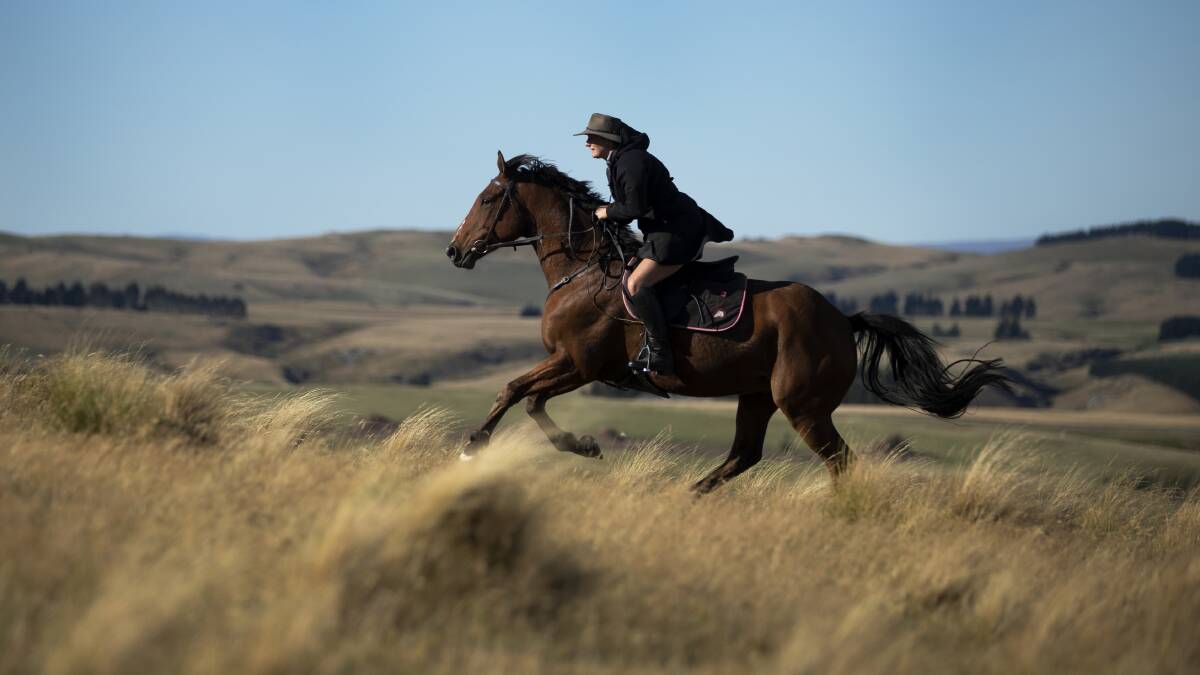 "Rachel Beattie rides her horse Red though the tussock on her family property in the Taieri Uplands of Otago." Picture Alan Gibson For the Love of the County
